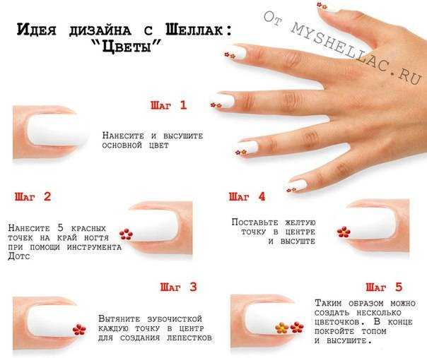 Слои покрытия в маникюре - что такое, учимся наносить правильно • журнал nails