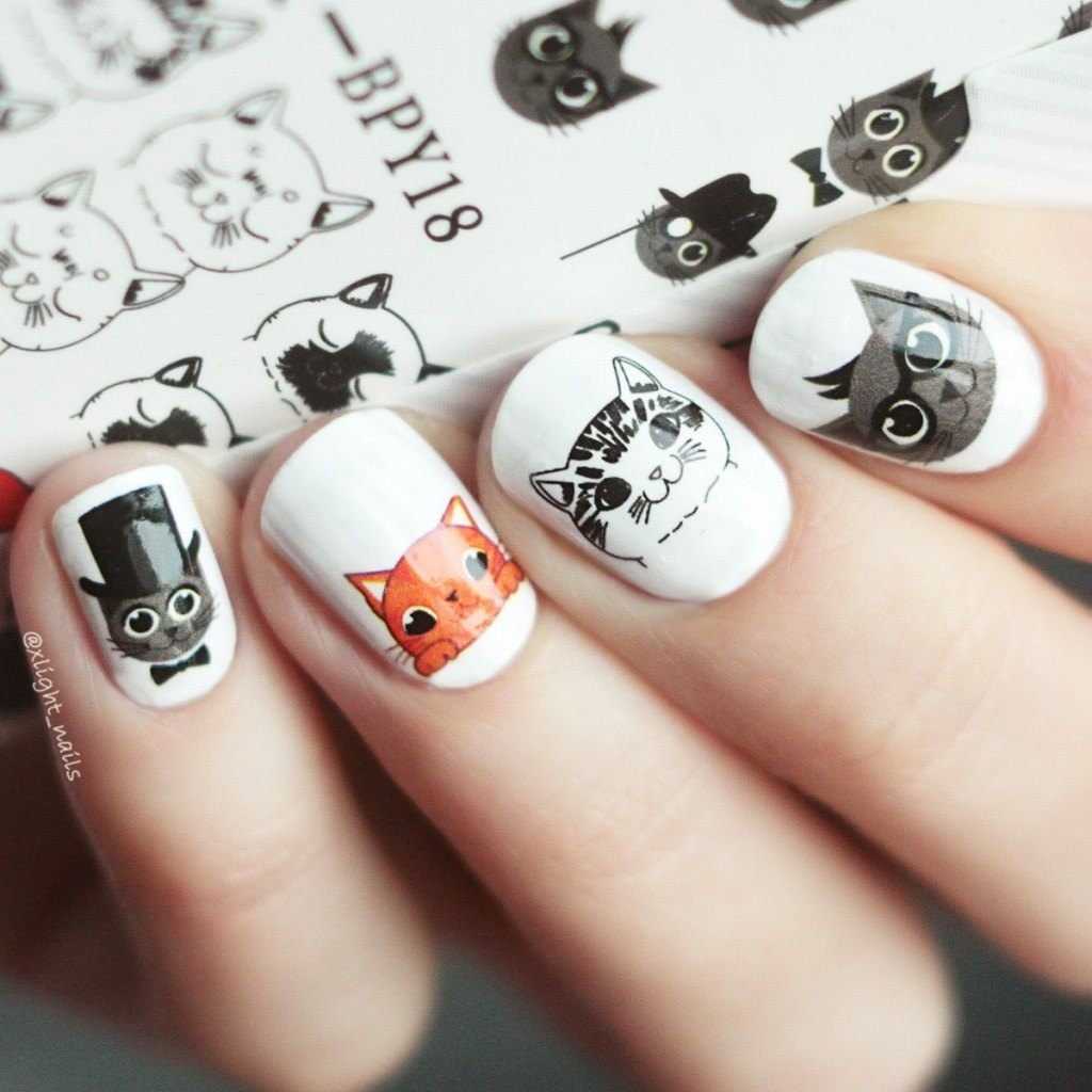 Маникюр с кошками на ногтях: дизайн, фото. как нарисовать кошку на ногтях поэтапно?
