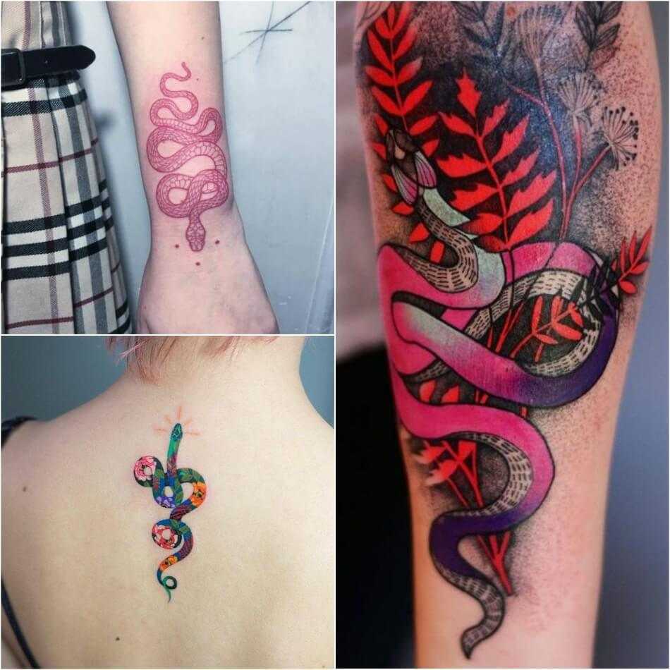 Тату змея значение: вся правда о татуировке змея 100 фото и эскизов