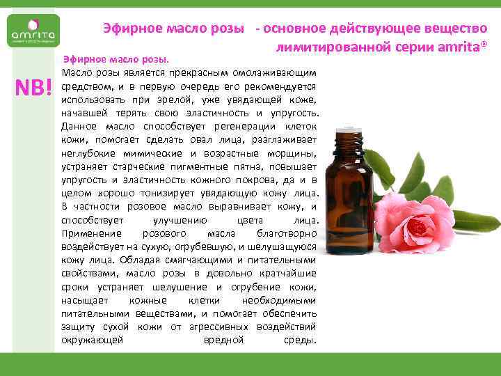 Эфирное масло розы: свойства и применение для кожи и волос, виды, состав, отзывы
