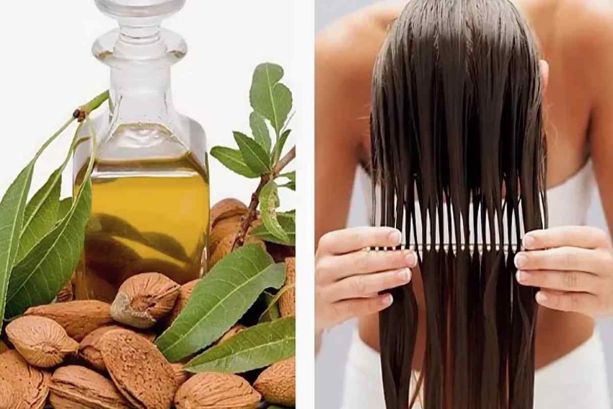 Как применять оливковое масло для волос отзывы  
как применять оливковое масло для волос отзывы  
