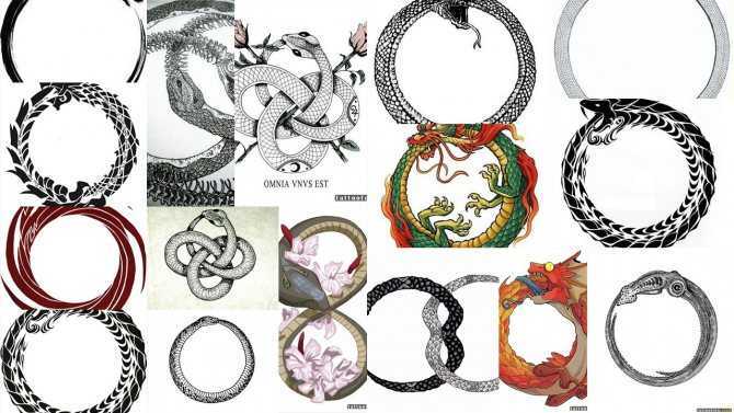 Что символизирует уроборос — змея, кусающая себя за хвост