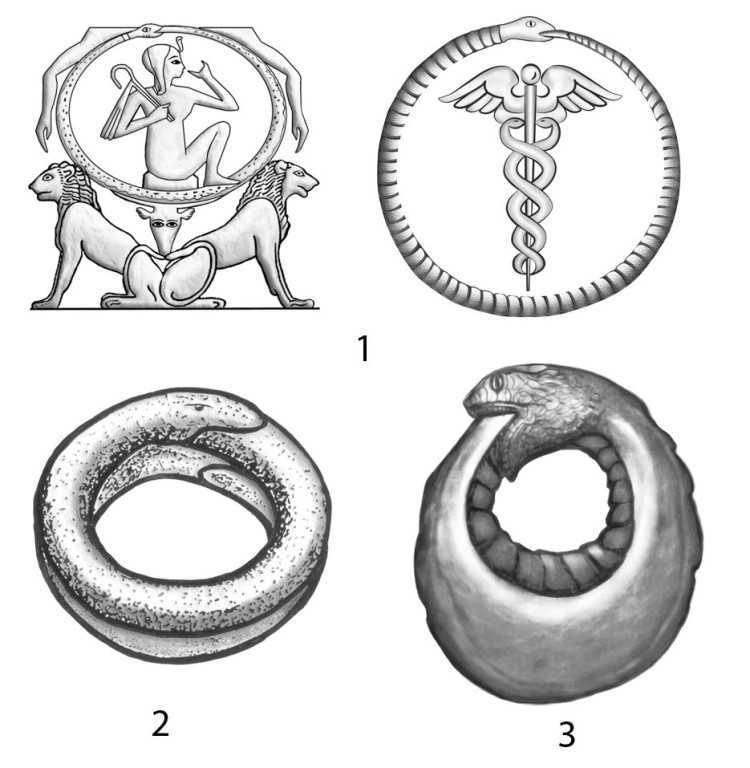Поедающий себя змей уроборос — какое значение у этого символа?