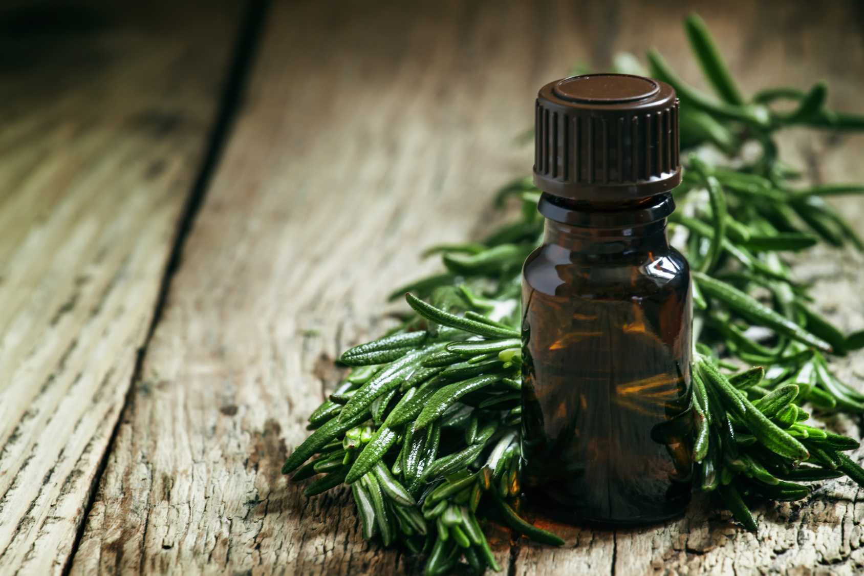 Польза и применение эфирного масла чайного дерева для волос