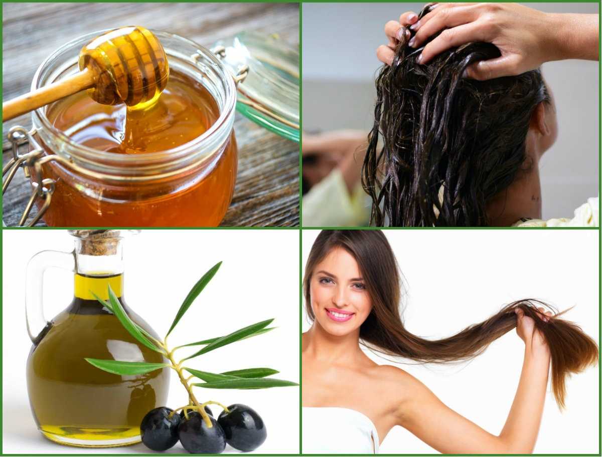 Оливковое масло: средство для улучшения волос