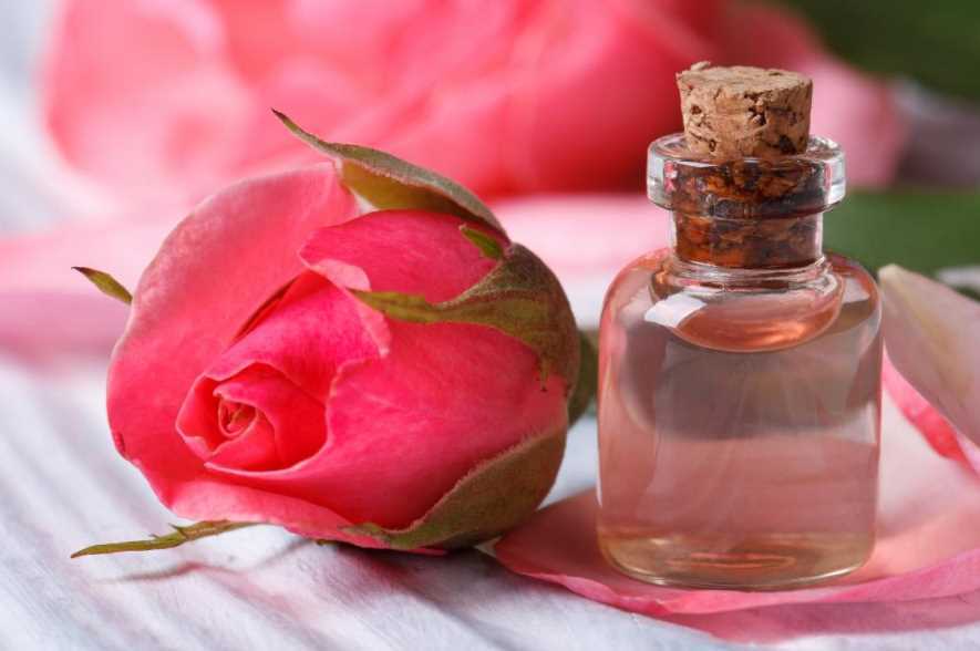 Розовая вода - полезные свойства и рецепты, использование в народной медицине и кондитерском деле