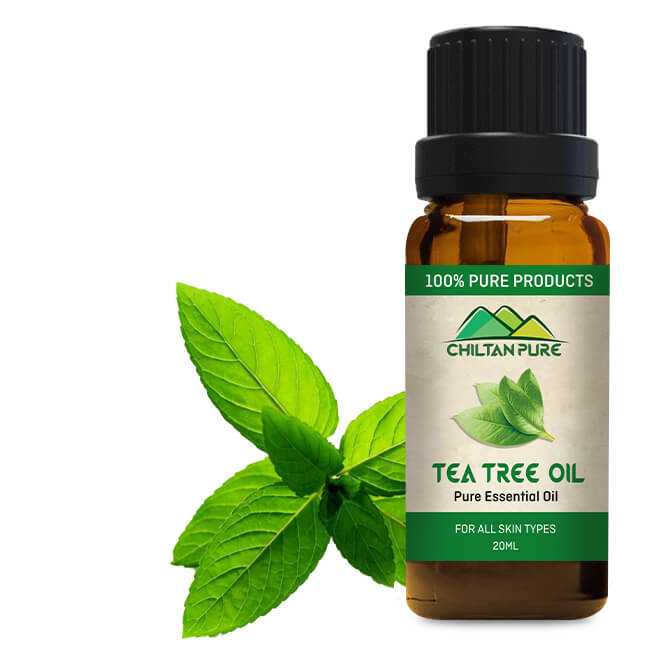 Косметическое масло чайного дерева: применение в косметологии австралийского природного антисептика объемом 25 мл