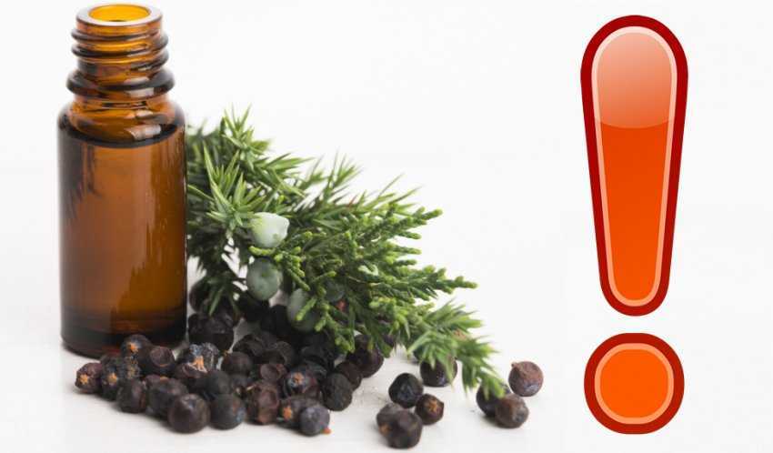 Эфирное масло можжевельника: свойства и применение