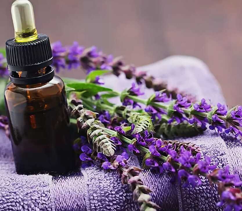 Базовые масла как основа под эфиры - энергия аромата — блог об ароматерапии и аромамаркетинге