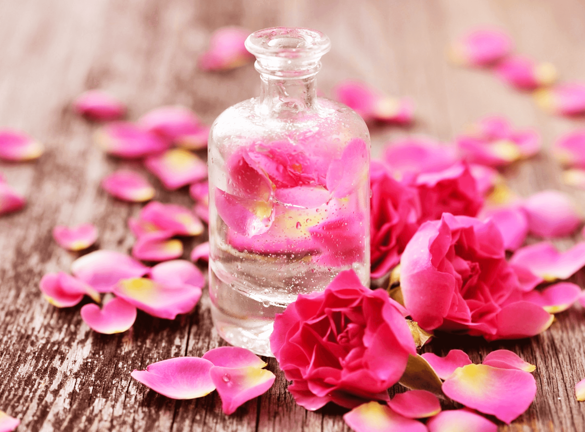 Как сделать лосьон из лепестков роз в домашних условиях. как приготовить лосьон из лепестков роз?