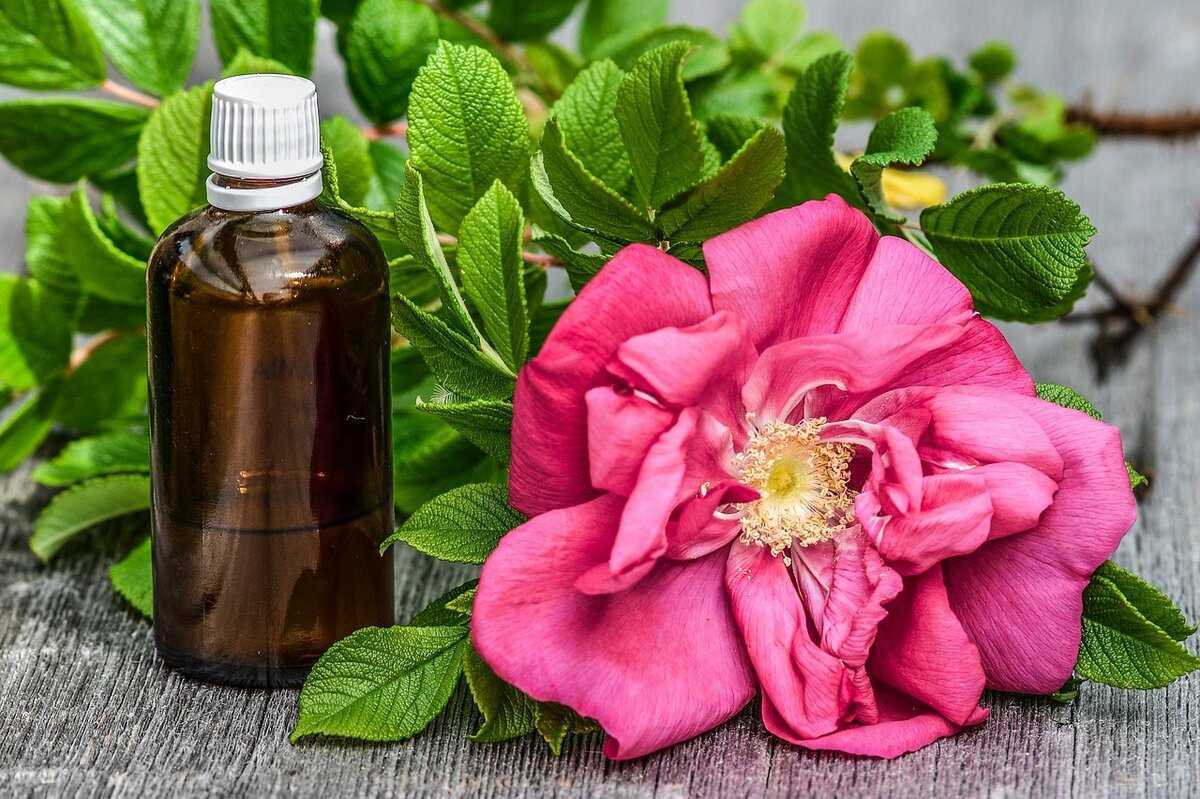 Розовое масло: применение для лица, отзывы, косметические свойства эфирной эссенции дамасской, чайной, дикой розы, как делают, польза от морщин, для кожи вокруг глаз, губ