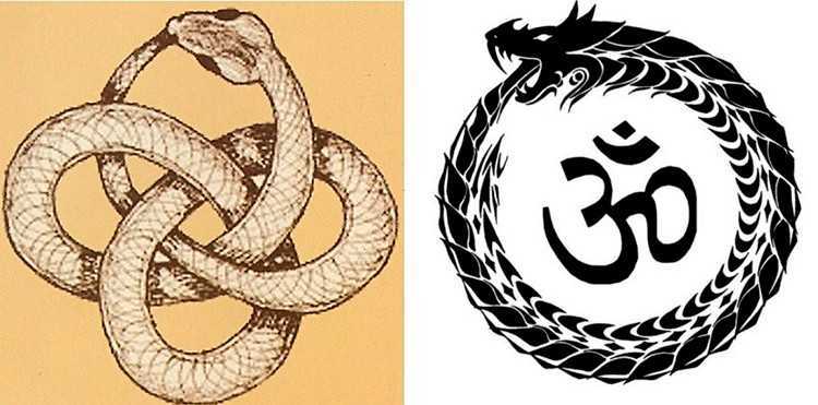 Кольцо змея. виды и особенности колец змея