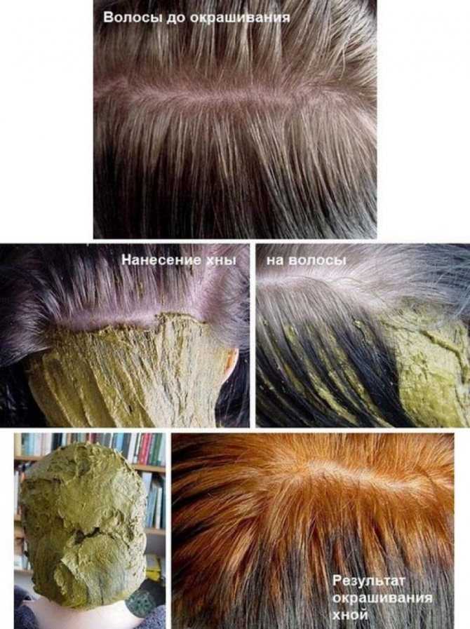 2021 какую хну выбрать и как правильно покрасить ею волосы
