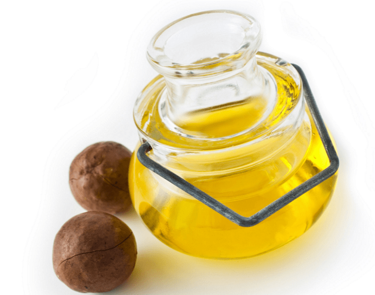 Антиоксидантное масло макадамии — полный обзор полезных свойств королевской выжимки